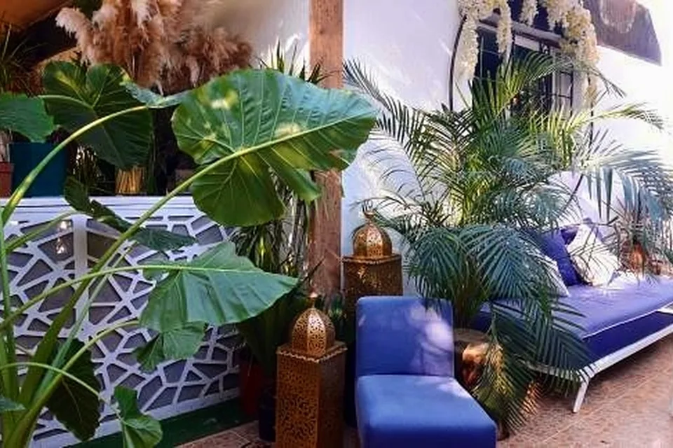 Bouquets et fleurs chez Végétal Concept à Rabat